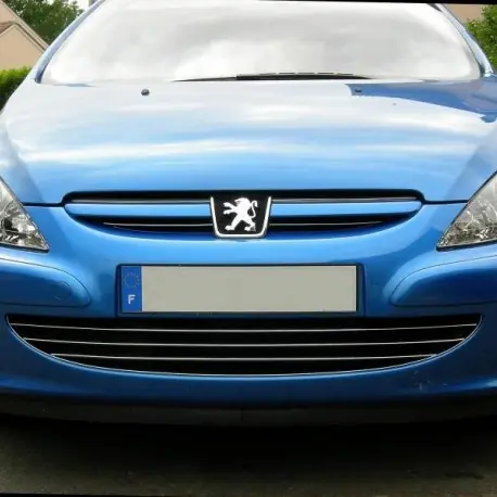 Kup teraz Peugeot 307 HB, SW Kombi – Listwy Chrom Grill