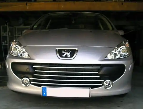 PEUGEOT 307 Lift Listwy CHROM GRILL atrapa Tuning Kup online